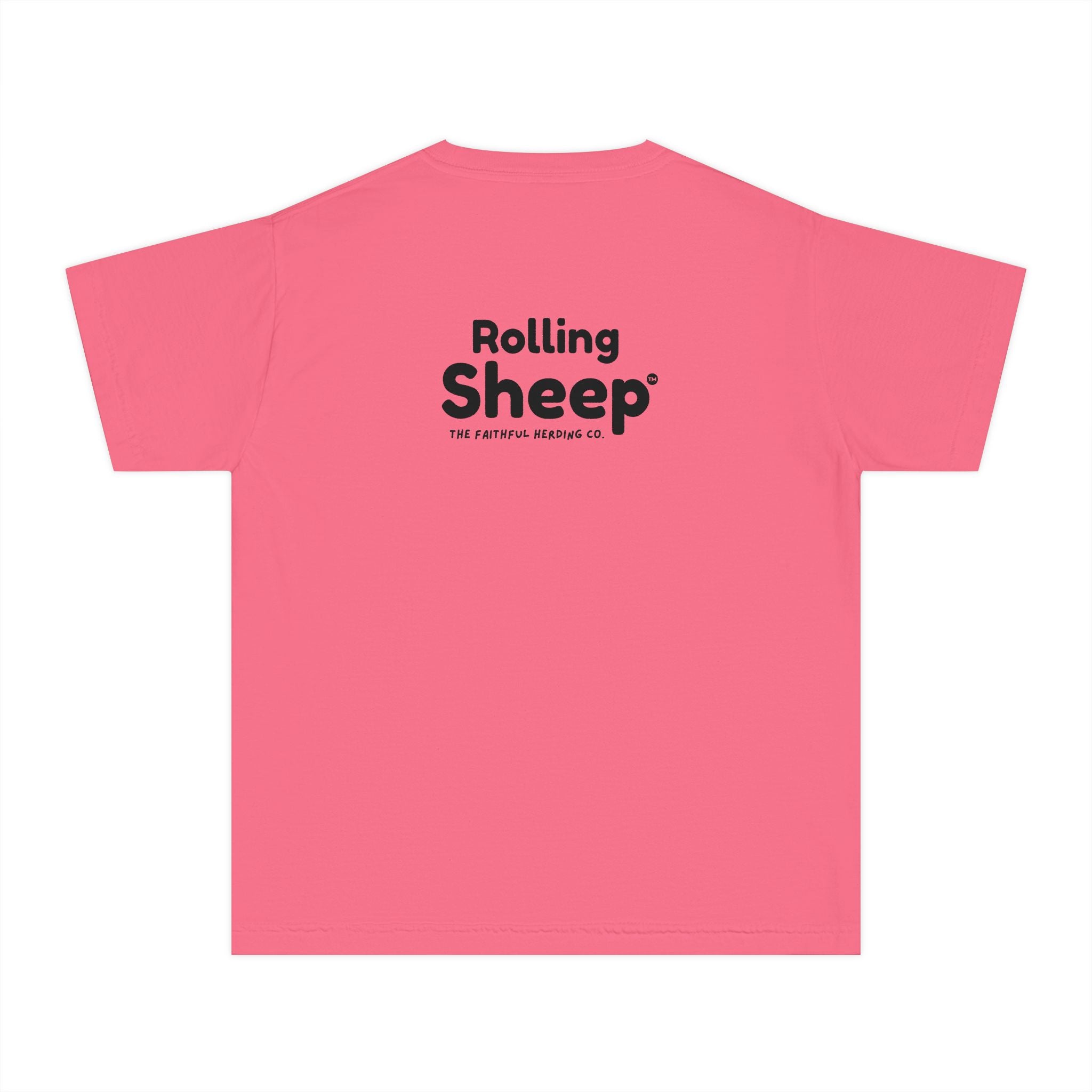 Youth Tee | Future Herder Treibball